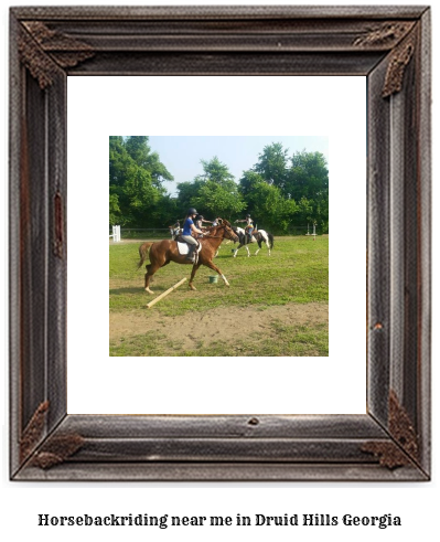 horseback riding near me in Druid Hills, Georgia